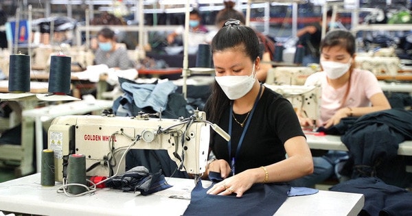 Bình đẳng giới trong ngành dệt may, da giày Việt Nam:Môi trường tốt hơn, làm việc hiệu quả hơn -0