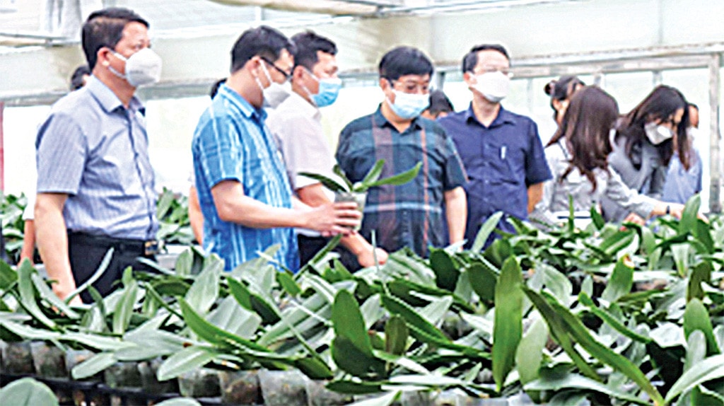 Mê Linh hướng đến phát triển nông thôn bền vững -0