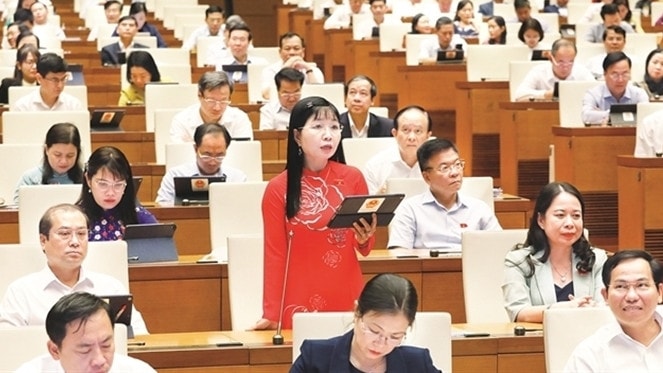 Đại biểu Quốc hội Trần Thị Thanh Hương (An Giang) phát biểu tại hội trường Ảnh: Hồ Long