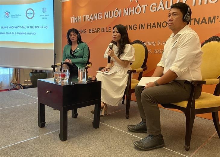 Hà Nội vẫn là điểm nóng về nuôi nhốt gấu lấy mật trái phép -0