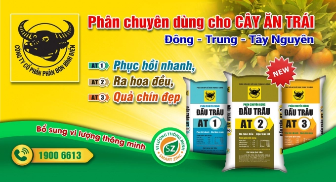 Hạn chế rụng trái cho cây bơ nhờ phân bón cân bằng dinh dưỡng -0