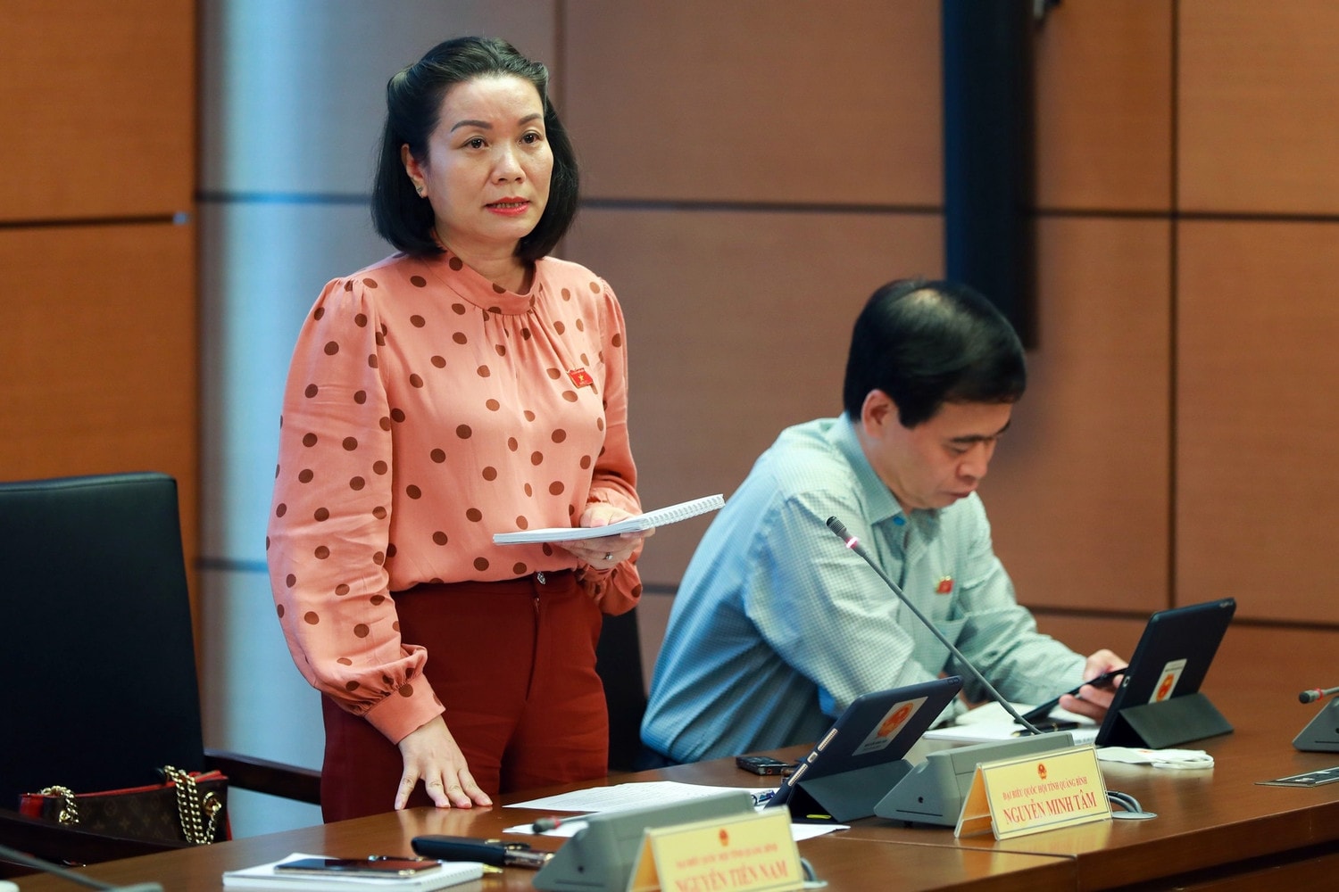 Quy hoạch là công cụ khai thác nguồn lực phát triển bền vững -0
