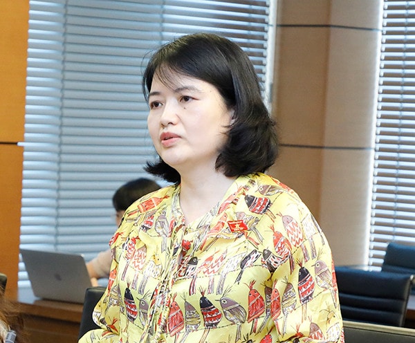 Hỗ trợ, bảo vệ kịp thời nạn nhân bị bạo lực gia đình -0