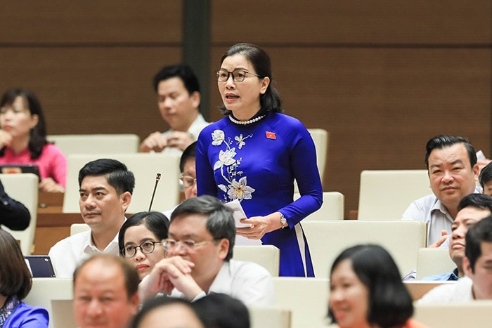Quốc hội thảo luận về kết quả thực hiện kế hoạch phát triển kinh tế - xã hội -0