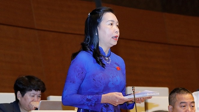 ĐBQH Lý Tiết Hạnh (Bình Định): Tăng cường giám sát việc chấp hành pháp luật trên thị trường chứng khoán, tiền tệ