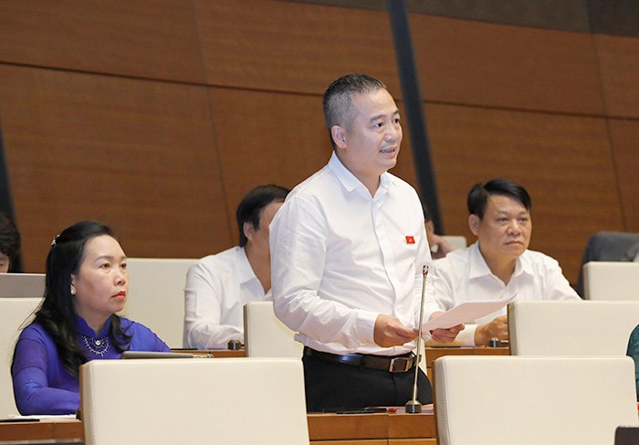 Quốc hội thảo luận về kết quả thực hiện kế hoạch phát triển kinh tế - xã hội -0