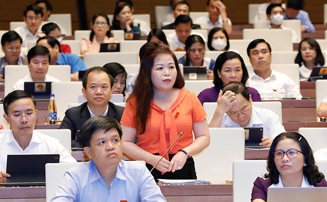 Quốc hội thảo luận về kết quả thực hiện kế hoạch phát triển kinh tế - xã hội -0