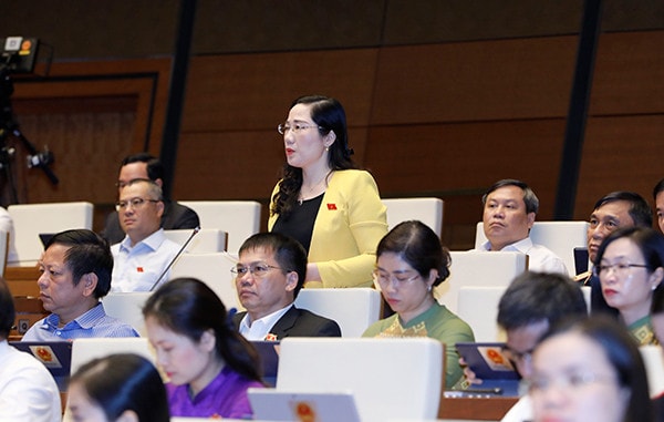 Quốc hội thảo luận về kết quả thực hiện kế hoạch phát triển kinh tế - xã hội -0