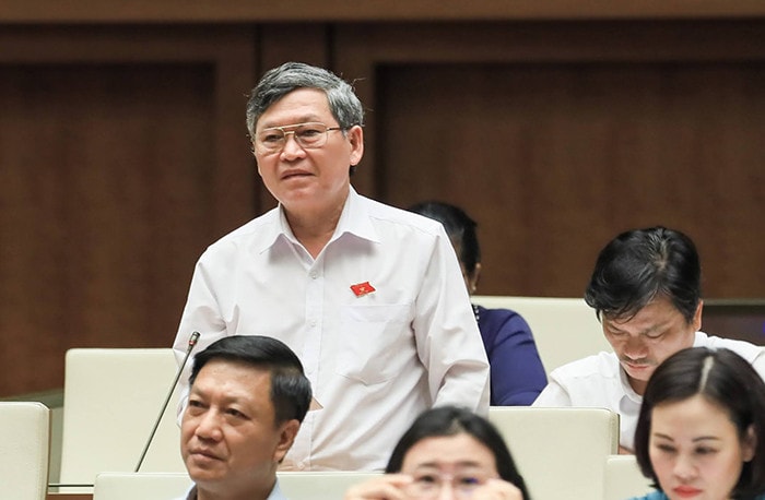 Quốc hội thảo luận về kết quả thực hiện kế hoạch phát triển kinh tế - xã hội -0