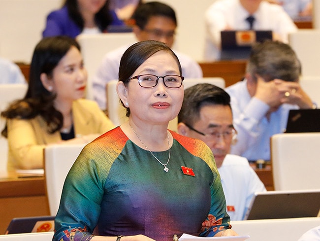 Quốc hội thảo luận về kết quả thực hiện kế hoạch phát triển kinh tế - xã hội -0