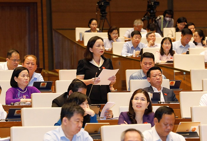 Quốc hội thảo luận về kết quả thực hiện kế hoạch phát triển kinh tế - xã hội -0
