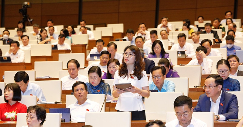 Quốc hội thảo luận về kết quả thực hiện kế hoạch phát triển kinh tế - xã hội -0