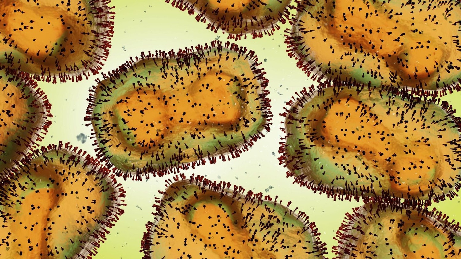 ,Lo ngại về sự bùng phát của các virus mới sau đại dịch Covid-19