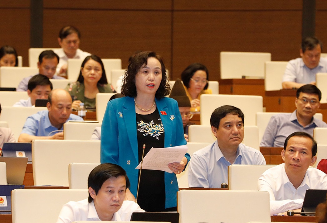 Quốc hội chất vấn Phó Thủ tướng Thường trực Chính phủ Phạm Bình Minh -0