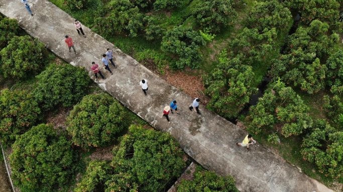 Chuyên nghiệp mới mong có khách lâu dài -0
