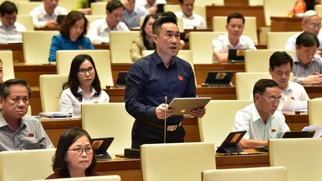 ĐBQH Nguyễn Hải Anh (Đồng Tháp) phát biểu. Ảnh: Lâm Hiển Phân định rõ các nhóm hành vi bạo lực gia đình