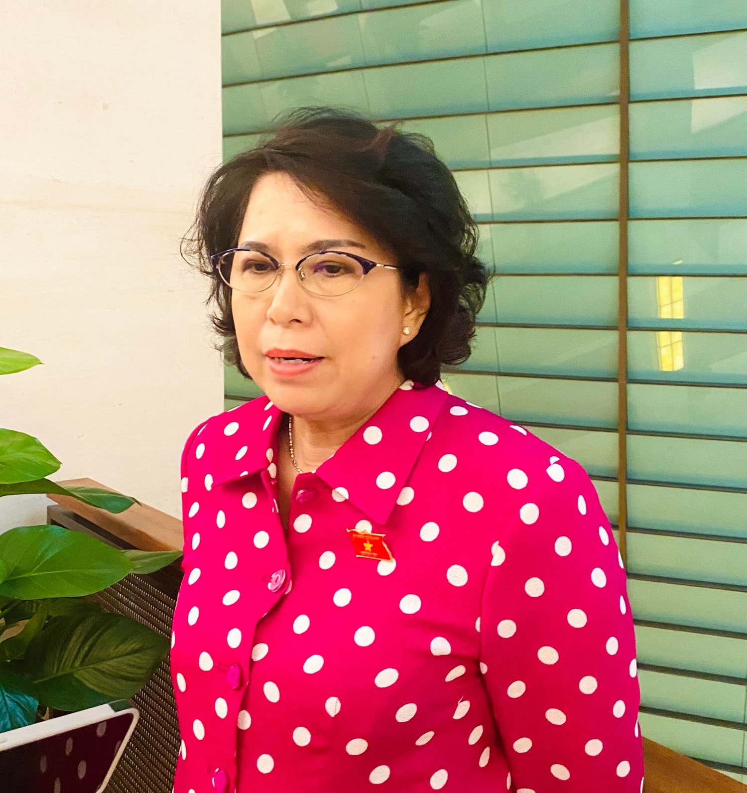 ĐBQH Tô Thị Bích Châu (TP Hồ Chí Minh) - ảnh: Hoàng Ngọc 
