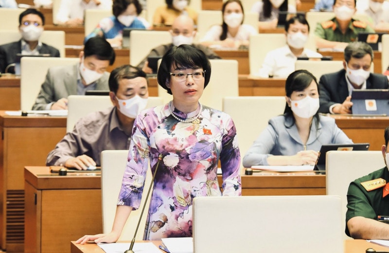 ĐBQH Nguyễn Thị Mai Phương (Gia Lai)