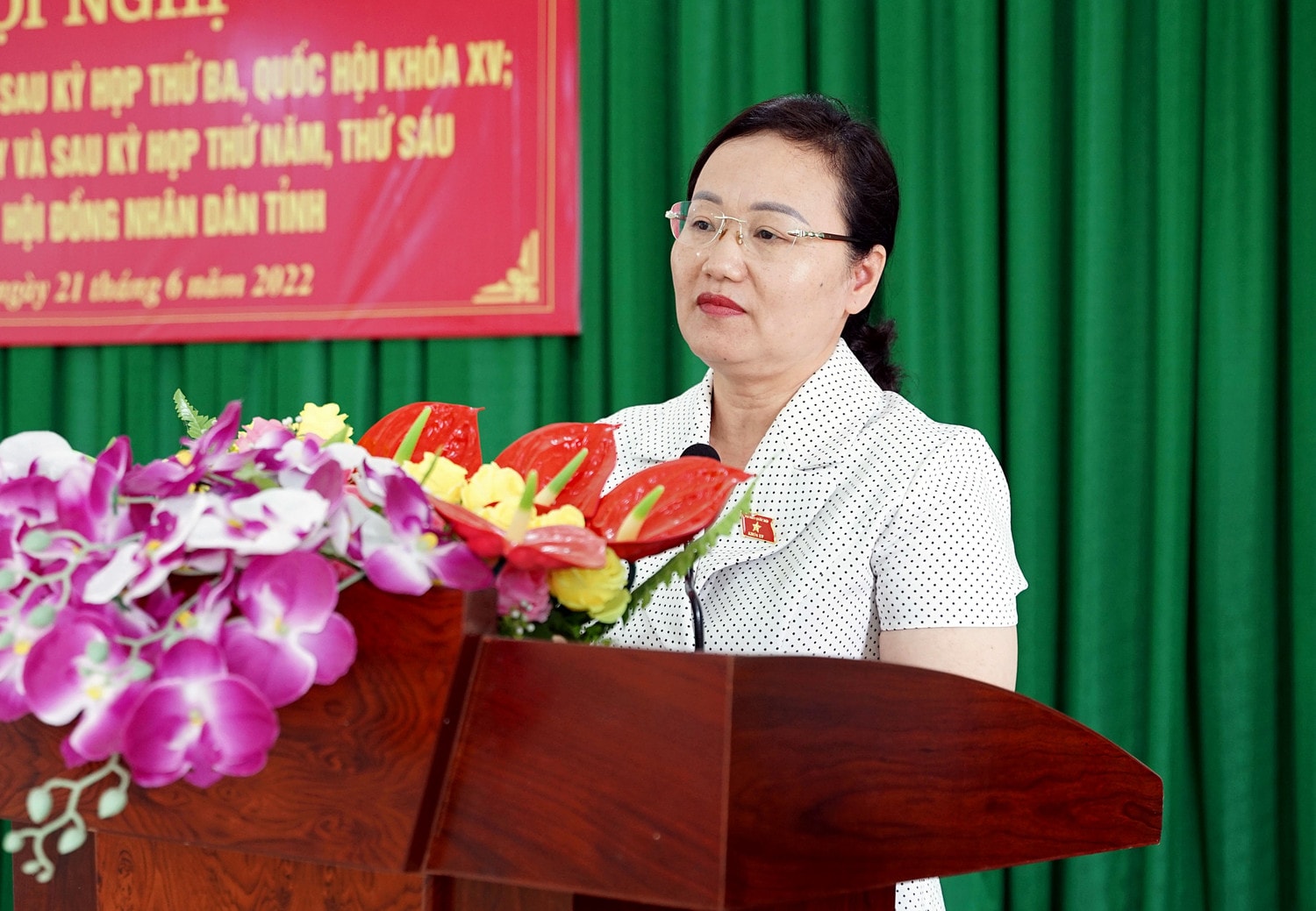 Phó Chủ nhiệm Ủy ban Tài chính - Ngân sách Phạm Thúy Chinh phát biểu tại buổi tiếp xúc cử tri Quan tâm đầu tư, sửa chữa nhằm bảo đảm điện thắp sáng cho Nhân dân -0