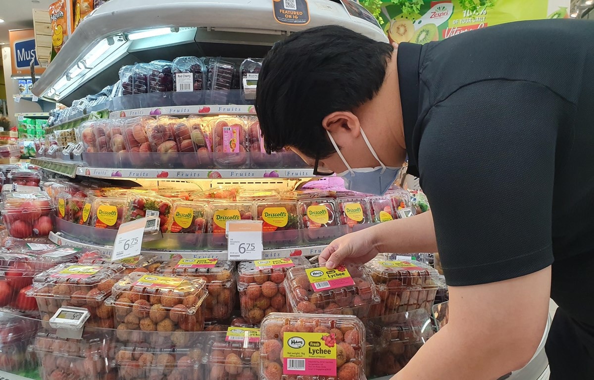 Vải thiều thu mua tại vùng trồng xuất khẩu cao hơn thị trường 20-25% -0