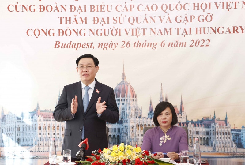 Hơn 60 giờ của Chủ tịch Quốc hội Vương Đình Huệ tại Hungary - 3
