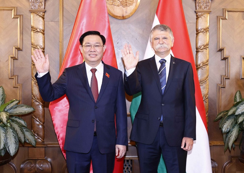 Hơn 60 giờ của Chủ tịch Quốc hội Vương Đình Huệ tại Hungary - 4