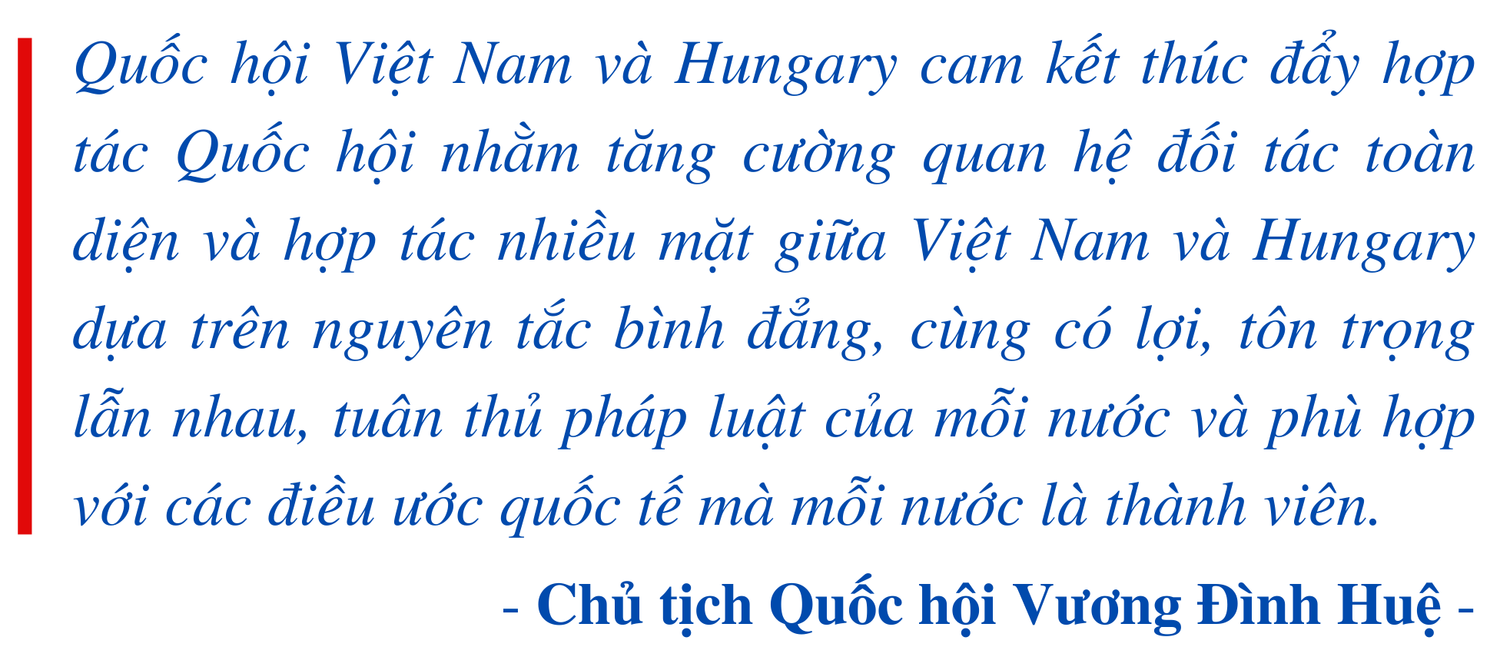 Hơn 60 giờ của Chủ tịch Quốc hội Vương Đình Huệ tại Hungary -0