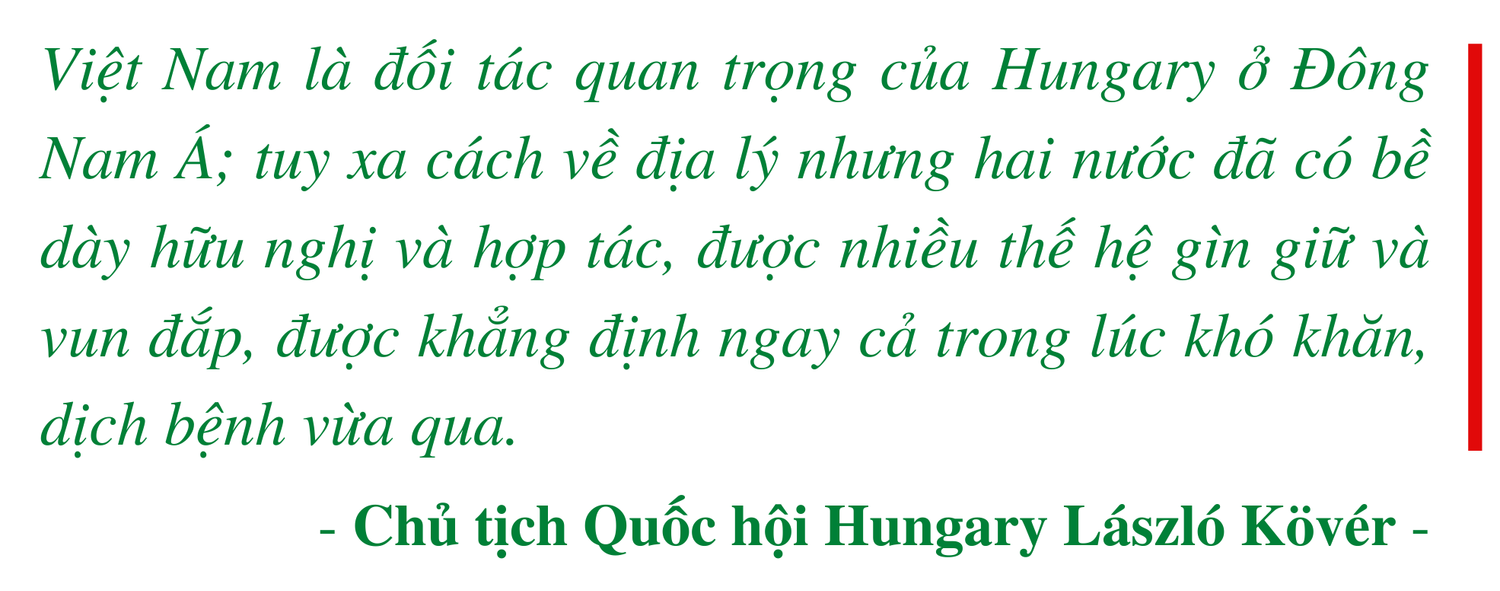 Hơn 60 giờ của Chủ tịch Quốc hội Vương Đình Huệ tại Hungary -0