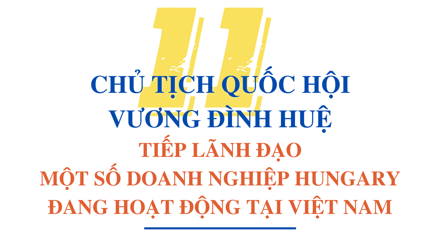 Hơn 60 giờ của Chủ tịch Quốc hội Vương Đình Huệ tại Hungary -0