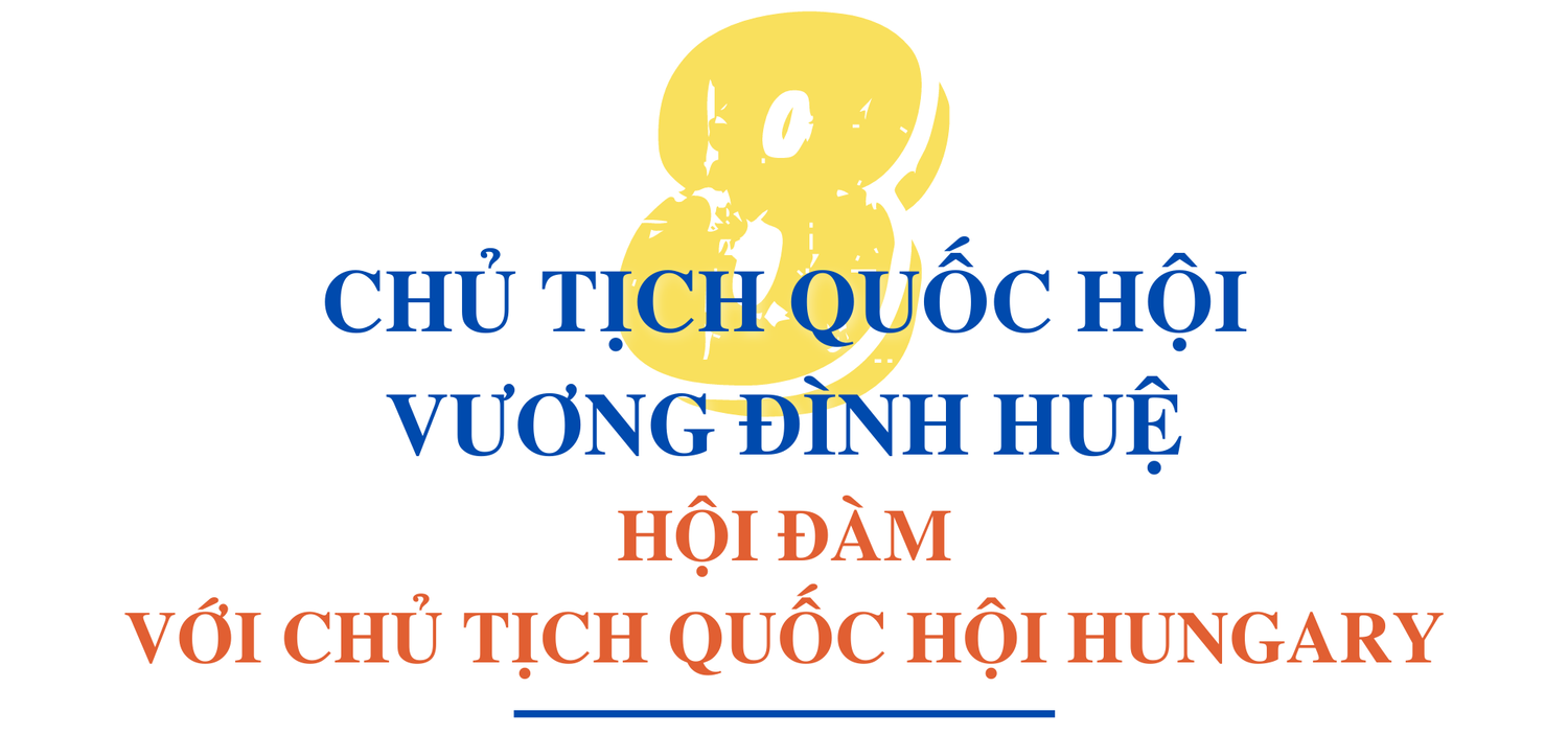 Hơn 60 giờ của Chủ tịch Quốc hội Vương Đình Huệ tại Hungary -0
