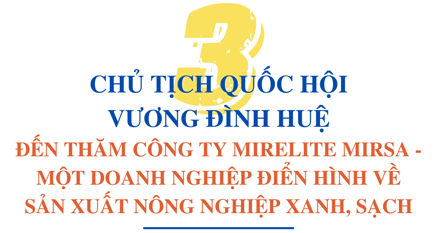 Hơn 60 giờ của Chủ tịch Quốc hội Vương Đình Huệ tại Hungary -0