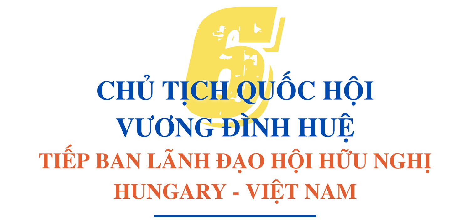 Hơn 60 giờ của Chủ tịch Quốc hội Vương Đình Huệ tại Hungary -0