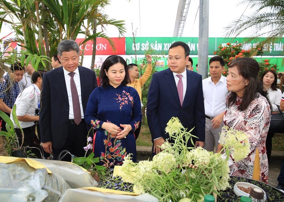 Sớm đưa huyện Sóc Sơn trở thành vùng phát triển ở phía Bắc Thủ đô -0