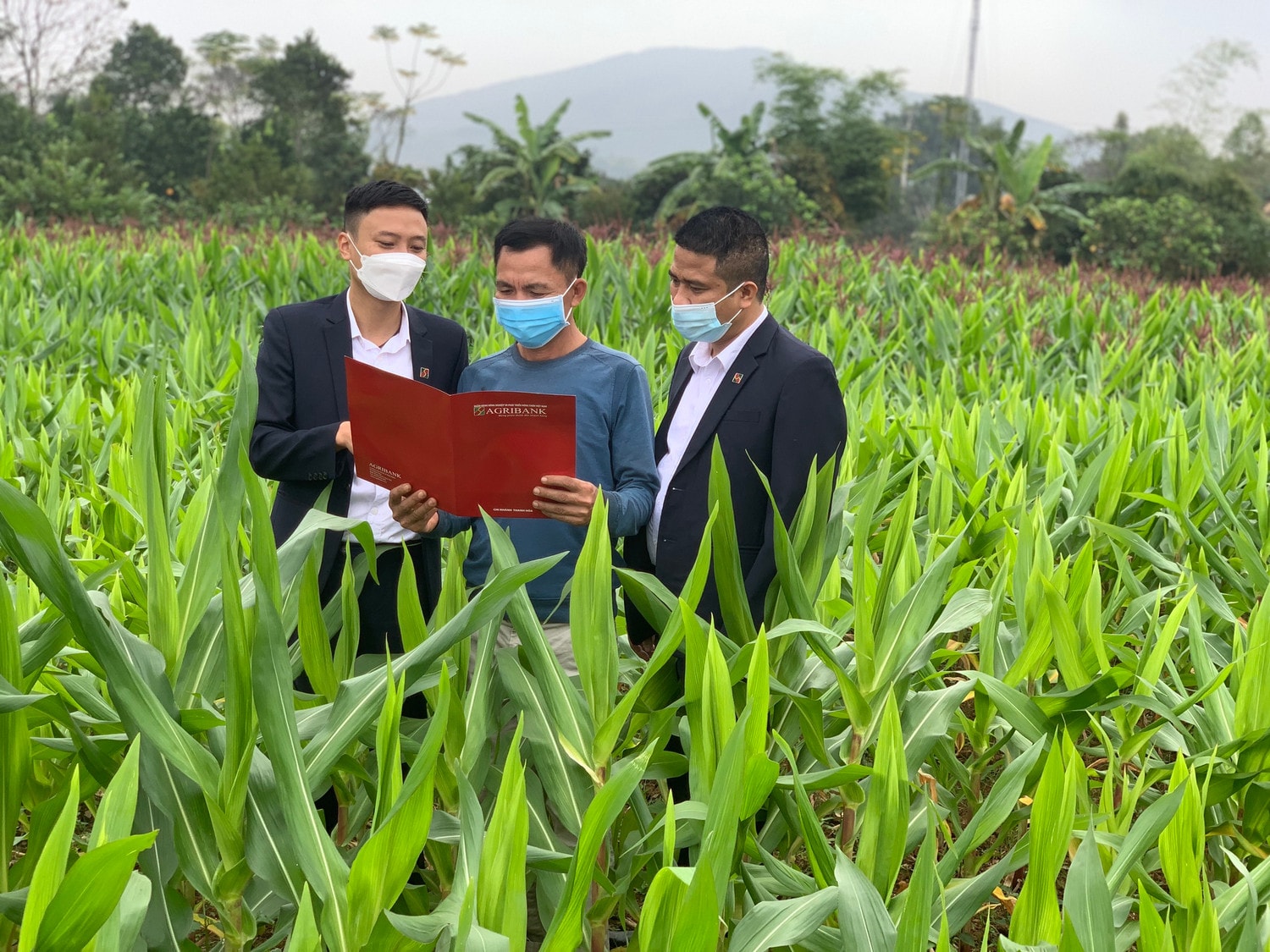 Agribank giúp nhiều hộ nông dân làm giàu Agribank – khẳng định vai trò chủ lực đầu tư “Tam nông” -0