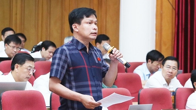 Đại biểu Phạm Nghĩa chất vấn tại kỳ họp - ảnh H. PHONG