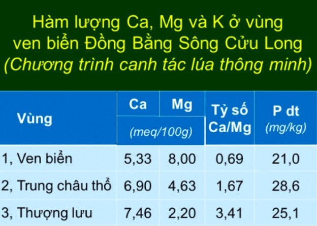  Bón phân chuyên dùng Đầu Trâu mặn phèn cho vùng ven biển đồng bằng sông Cửu Long -0
