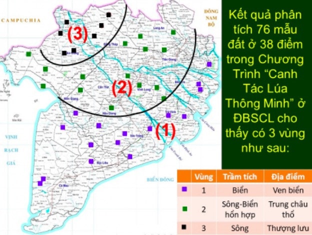  Bón phân chuyên dùng Đầu Trâu mặn phèn cho vùng ven biển đồng bằng sông Cửu Long -0