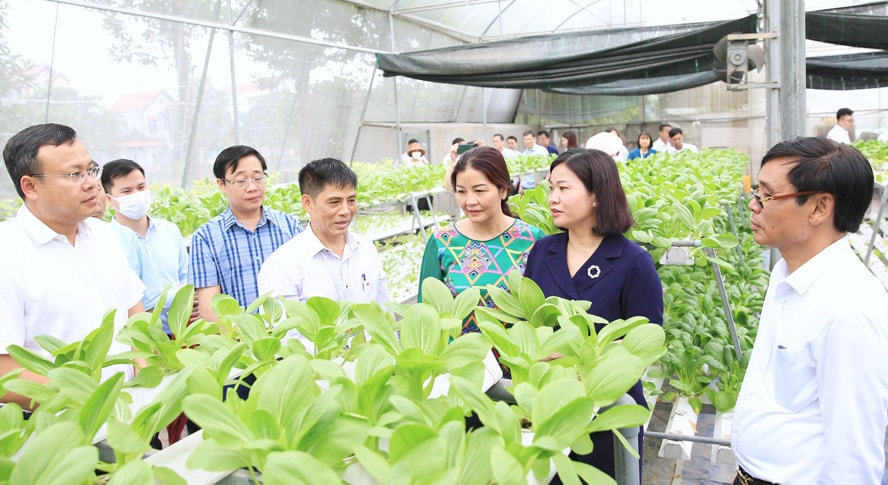 Ủy viên Trung ương Đảng, Phó Bí thư Thường trực Thành ủy Nguyễn Thị Tuyến thăm Hợp tác xã Rau hữu cơ xã Phú Cường, huyện Sóc Sơn - Tường Vy