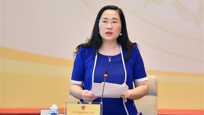 Phó Chủ nhiệm Ủy ban Tư pháp Nguyễn Thị Thủy phát biểu tại Phiên họp toàn thể lần thứ Sáu của Ủy ban Tư pháp 