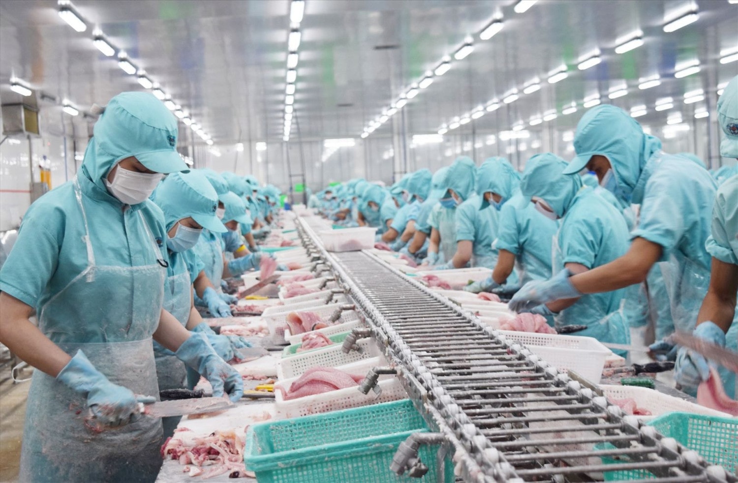 Tròn 2 năm có hiệu lực, Hiệp định EVFTA 