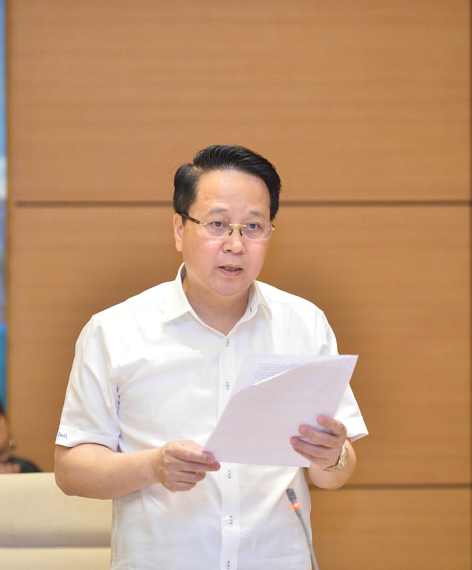 Phó Trưởng Ban Dân nguyện Hoàng Anh Công – Tổ trưởng Tổ giúp việc của Đoàn giám sát báo cáo tại Phiên họp
