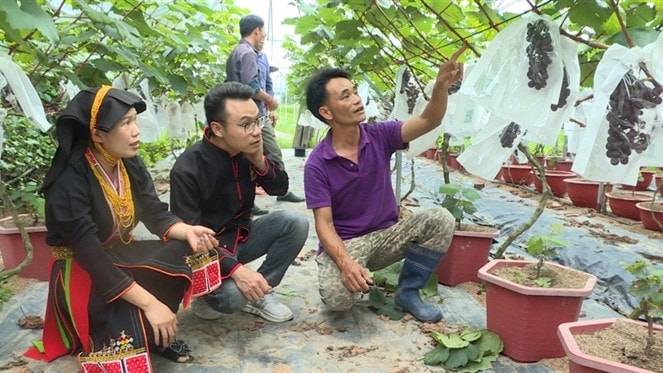 Quảng Ninh luôn xác định xây dựng NTM phải hướng thực chất, hiệu quả; người dân phải là trung tâm, chủ thể của chương trình - ảnh: L. NAM