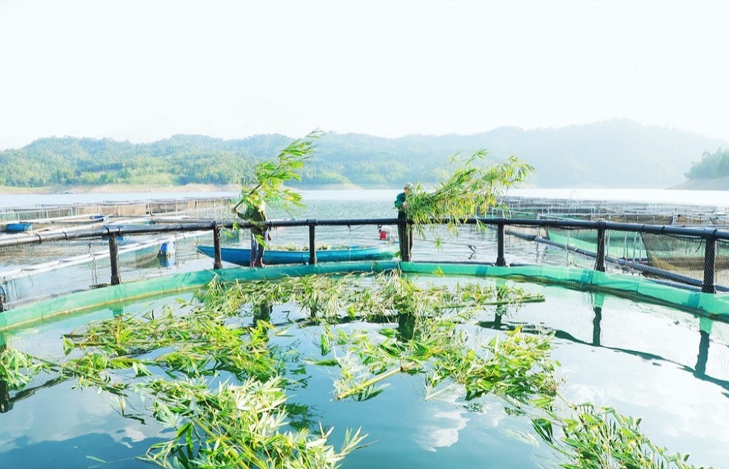 Bài 1: Củng cố vững chắc niềm tin của nhân dân -0