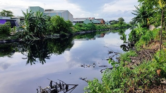 kenh tham luong 2.jpg -0