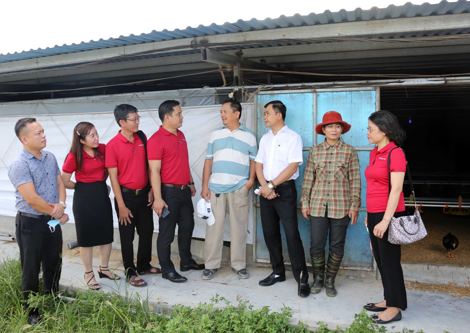 Cán bộ Agribank thăm, động viên hộ vay Cao Văn Đà ở xã Tam Thăng, thành phố Tam Kỳ, Quảng Nam. Ảnh: Đức Kiên.