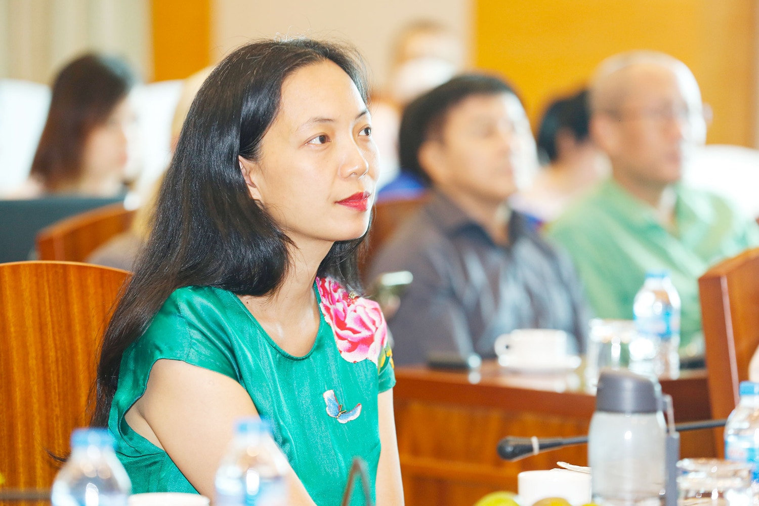 ĐÊM THƠ - NHẠC - KỊCH “HOA CÚC XANH” TƯỞNG NHỚ THI SĨ XU N QUỲNH -0