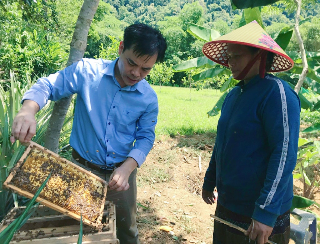 Nhiều mô hình, sinh kế trên địa bàn tỉnh đã mang lại hiệu quả 