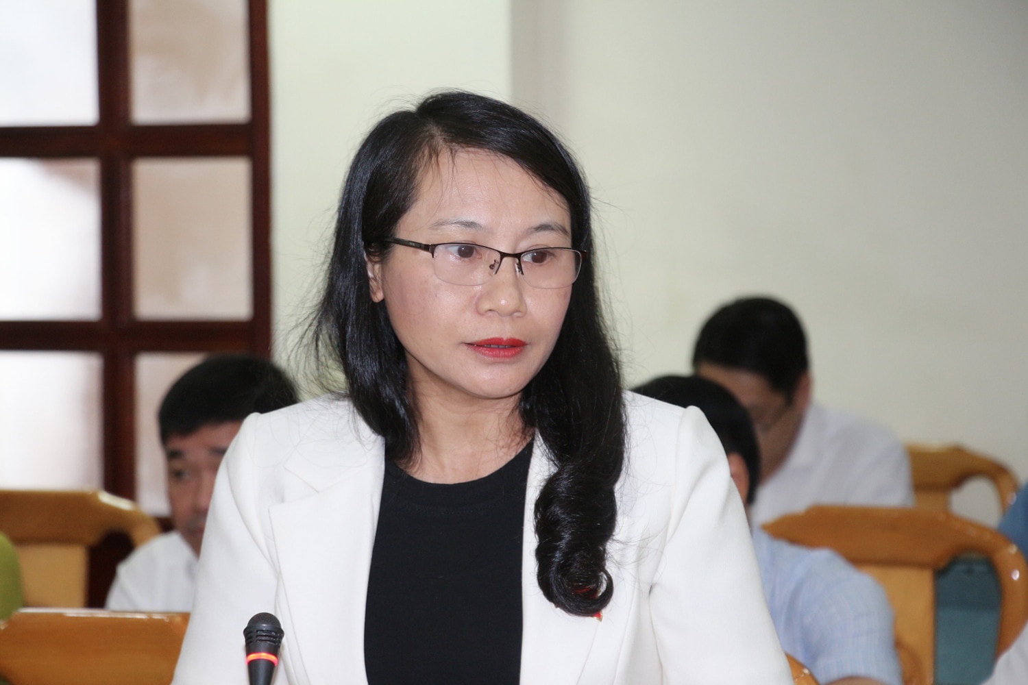 Hà Tĩnh: Thông qua 4 nghị quyết quan trọng tại Kỳ họp chuyên đề -0