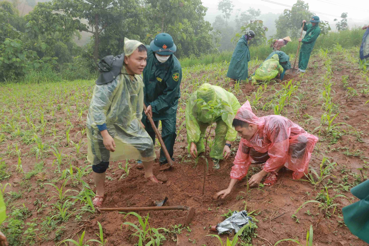 Đại diện VARS và con trai nhà văn Nguyễn Huy Thiệp tham gia trồng rừng tại Hua Tát Trồng rừng tưởng niệm nhà văn Nguyễn Huy Thiệp tại Hua Tát -0