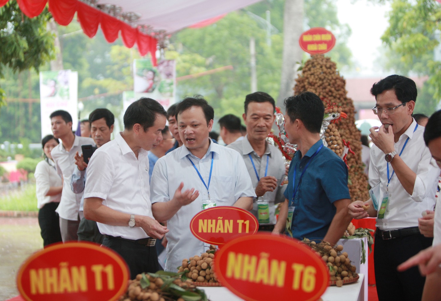 Khoái Châu - thủ phủ nhãn lồng Hưng Yên bứt phá nhờ VietGAP -0